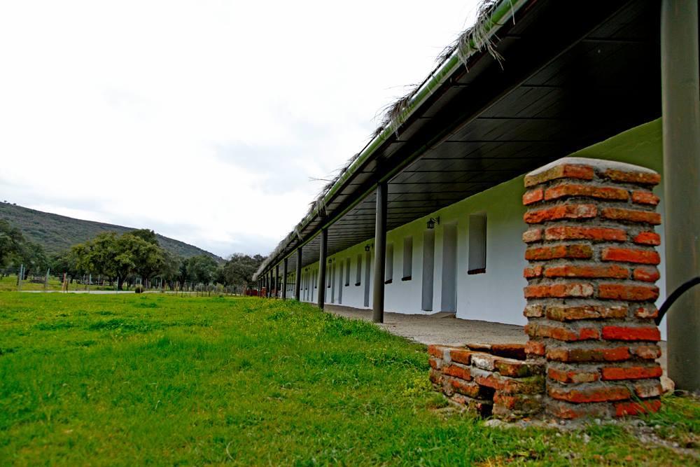 ויאריאל דה סן קרלוס Hotel Rural Puerta De Monfrague מראה חיצוני תמונה